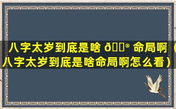 八字太岁到底是啥 💮 命局啊（八字太岁到底是啥命局啊怎么看）